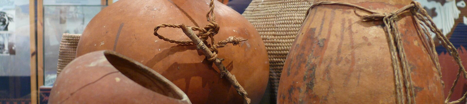 Exhibitions at Bayworld