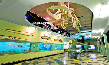 Exhibitions