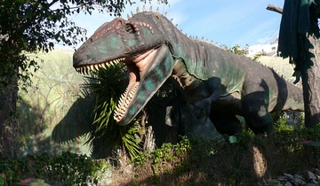 Outdoor Dinosaur Display