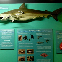 The Marine Hall at Bayworld