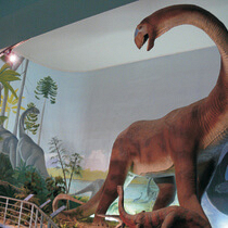 Dinosaur Hall at Bayworld